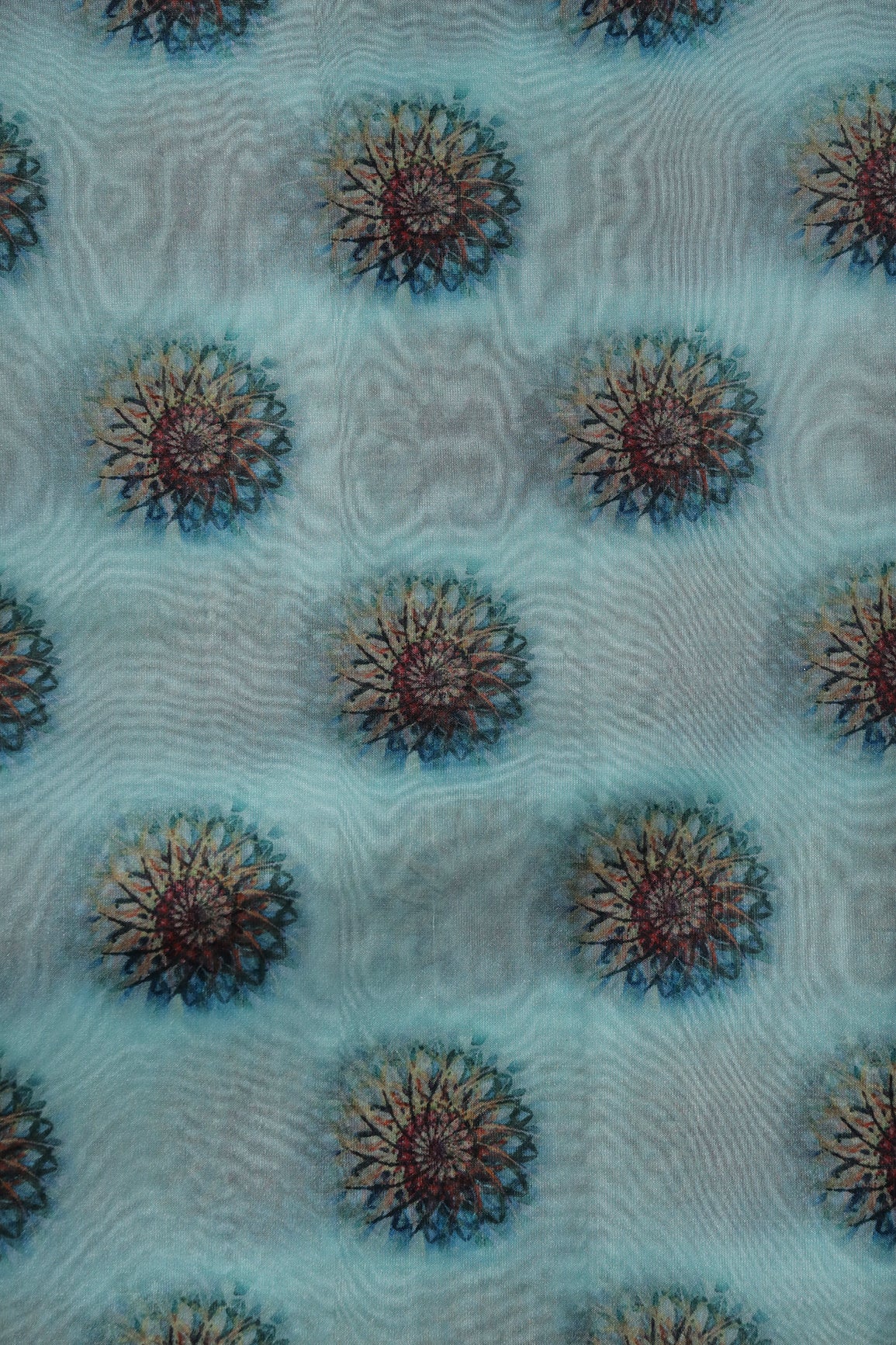 Black And Brown Traditional Pattern Digital Print On Sky Blue Organza Fabric